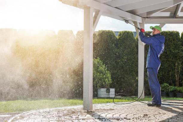 Best Sidewalk and Walkway Cleaning  in St Joseph, MO